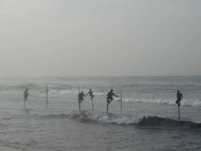 Nos prestations sur le secteur de Paris en Île-de-France 75 